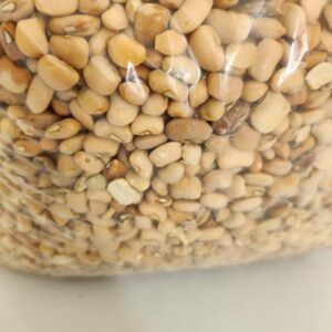 4kayz Image 2024-01-11 at 5.09.40 PM