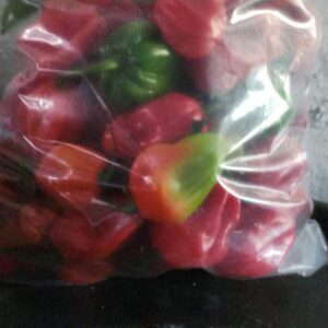 4kayz Image 2024-01-11 at 5.12.29 PM (2)