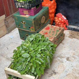 4kayz Image 2024-01-11 at 5.16.05 PM (3)